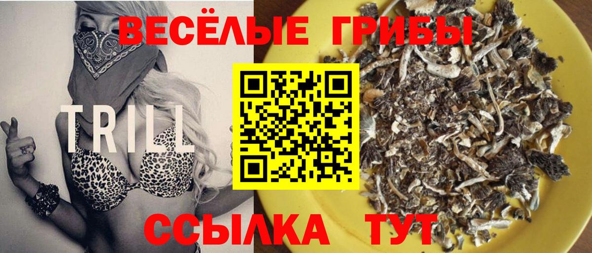 Галлюциногенные грибы MAGIC MUSHROOMS  Псилоцибиновые грибы ЛСД  Вход с VPN  купить закладку  Асбест 