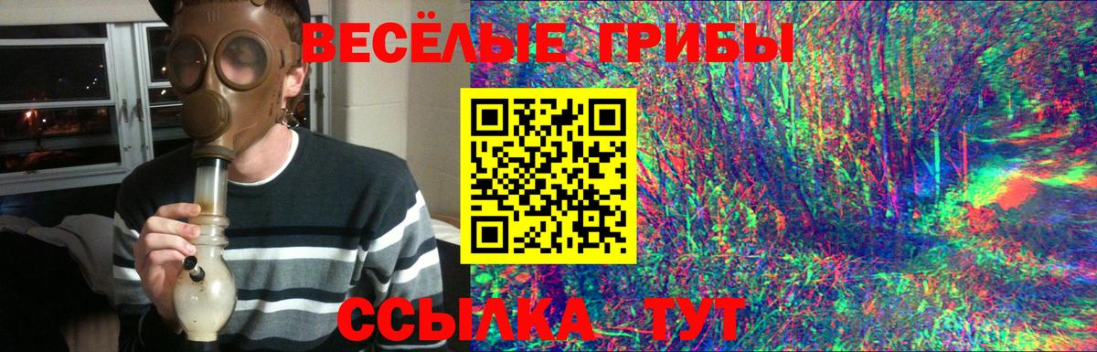 Галлюциногенные грибы GOLDEN TEACHER Асбест